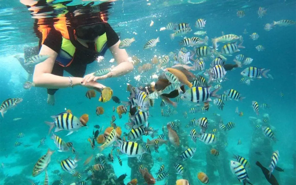 Snorkeling trip tiga gili