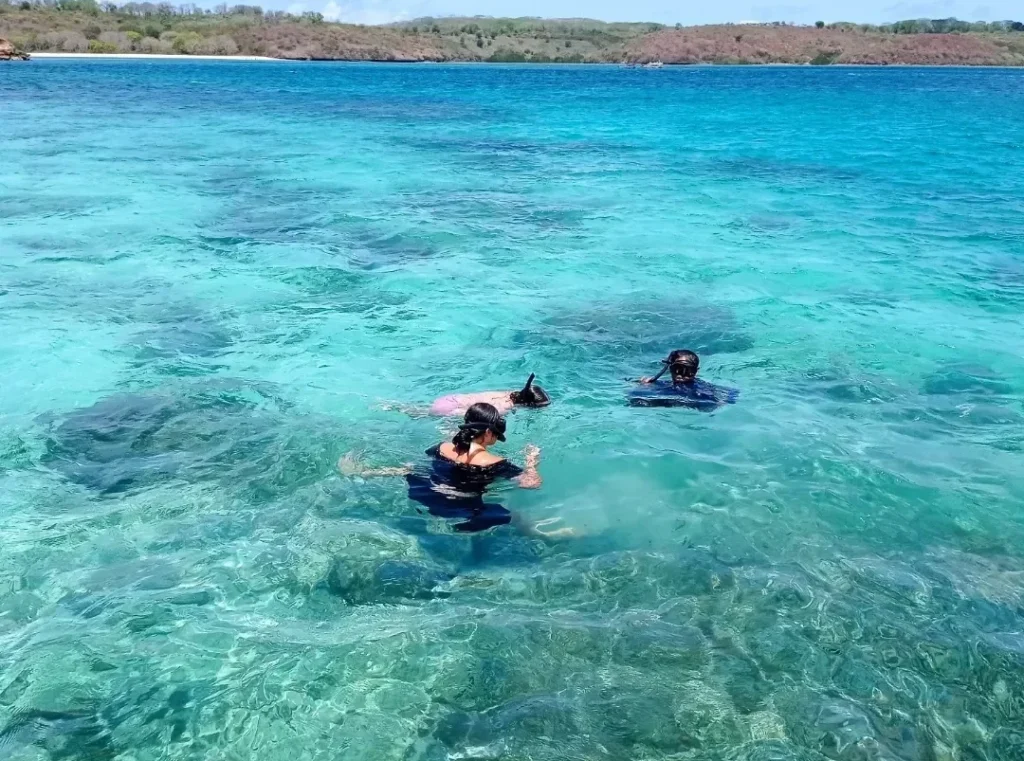 Snorkeling Trips