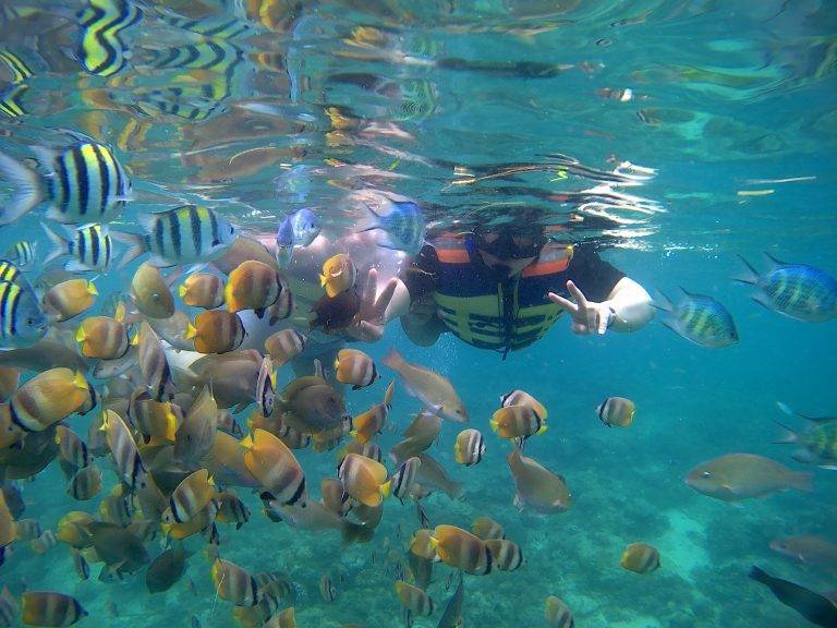 full day private snorkeling trip