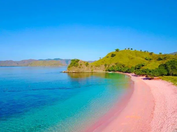 wisata pantai merah muda