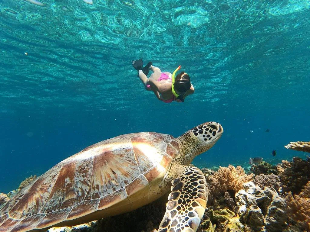 Snorkeling di Gili Trawangan