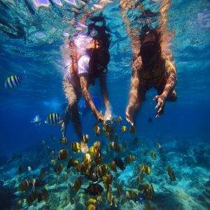 snorkeling gili trawangan official 72 gili trawangan tour & travel Snorkeling Trip Gili islands, Best Snorkeling