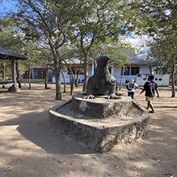 Golden Island Cruises is a company that provides Komodo Island Tour Package, Komodo Tour Package, Trip Gili Trawangan Day Trip.