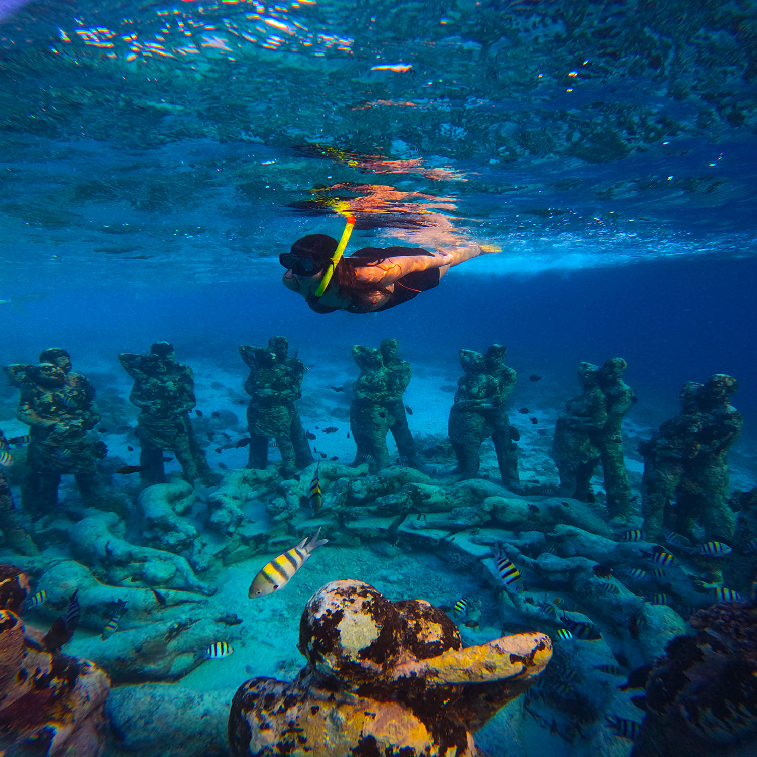 Snorkeling Gili Trawangan, Gili Trawangan Day Trip