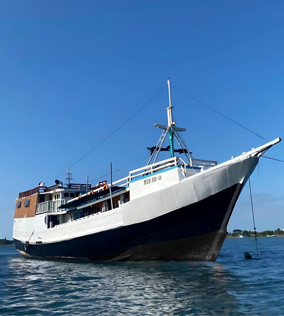 golden island cruises