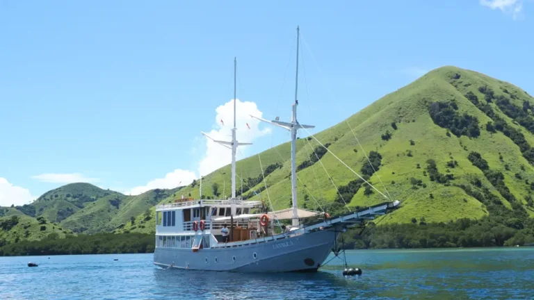 Boat Tour