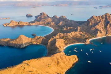 Komodo tour From Labuan Bajo