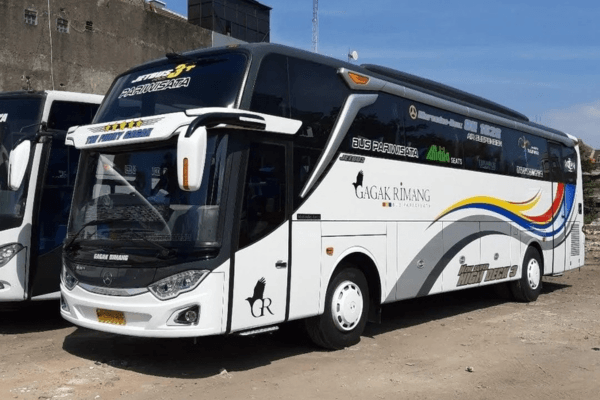Big Bus 50 Gili Trawangan Tour & Travel