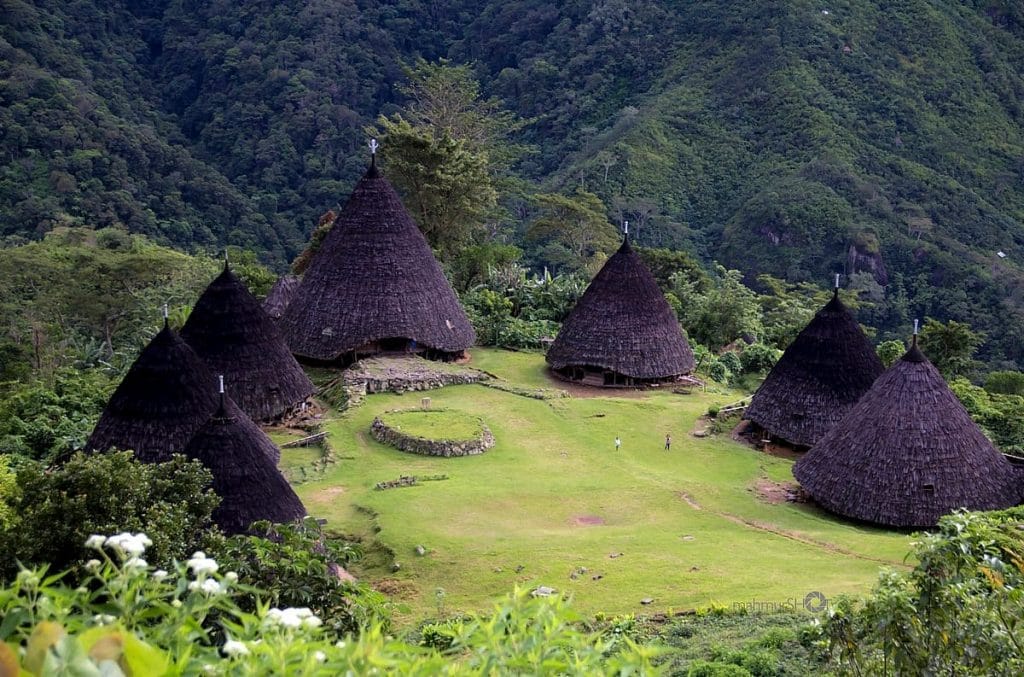Wae Rebo Gili Trawangan Tour & Travel