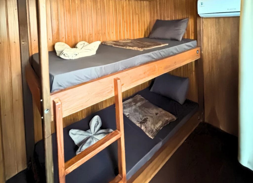 tour de l'île de komodo, komodo tour, komodo, excursion en bateau, l'île de komodo, excursion en bateau
