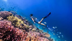 2D1N Gili T – Sembalun (Start Gili T) 