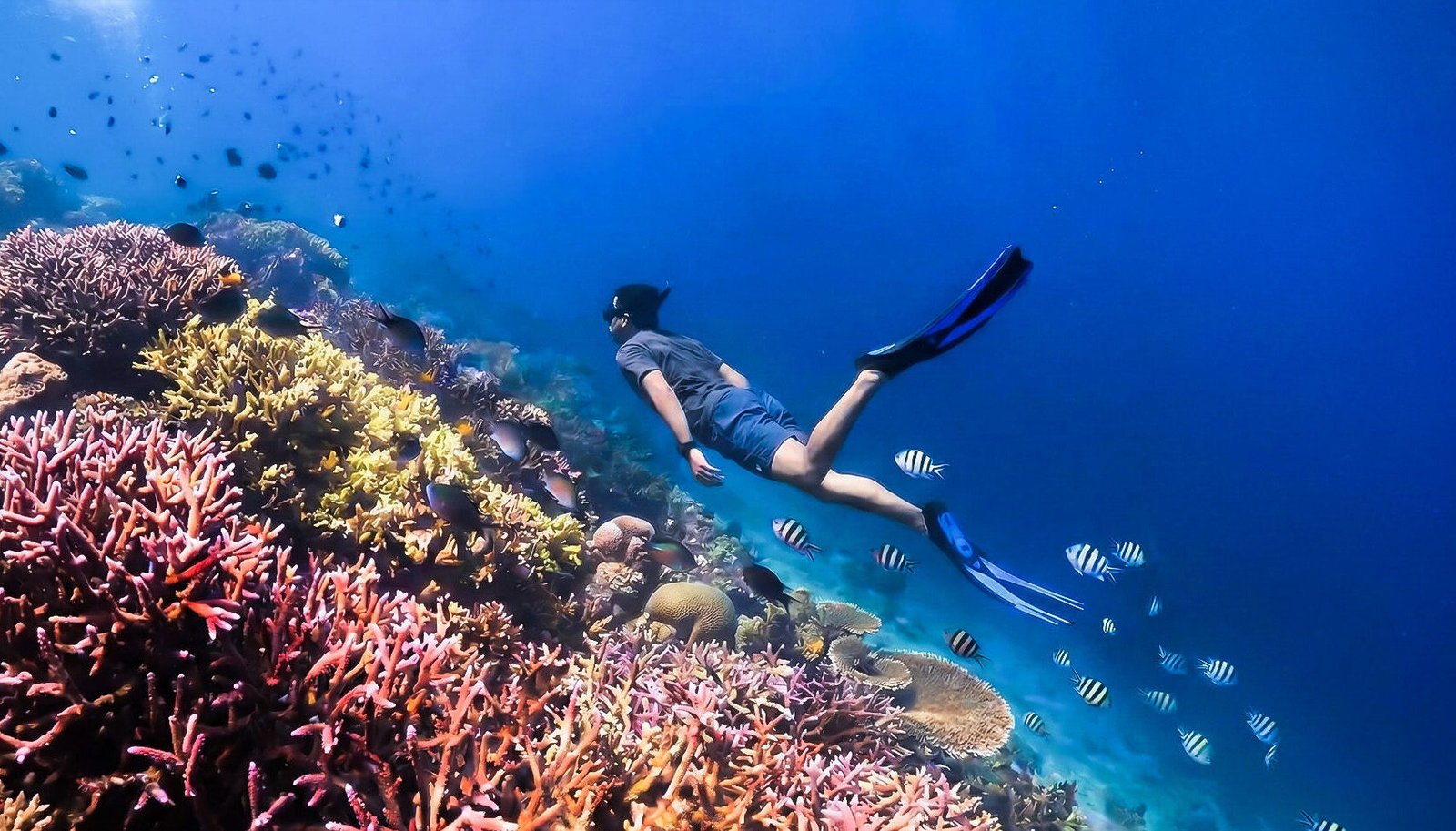 2D1N Gili T – Sembalun (Start Gili T) 