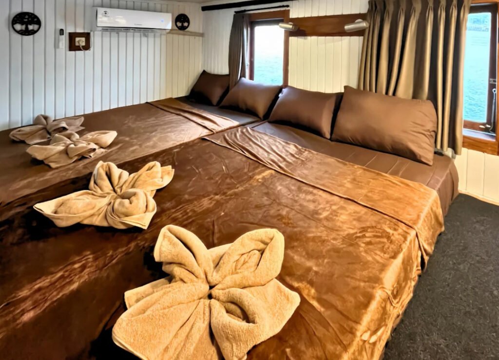 tour de l'île de komodo, komodo tour, komodo, excursion en bateau, l'île de komodo, excursion en bateau