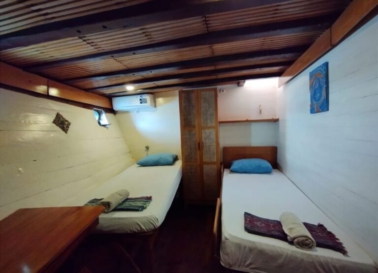 la isla de komodo, tour, tour de komodo, de komodo, excursión en barco, la isla de komodo, excursión en barco