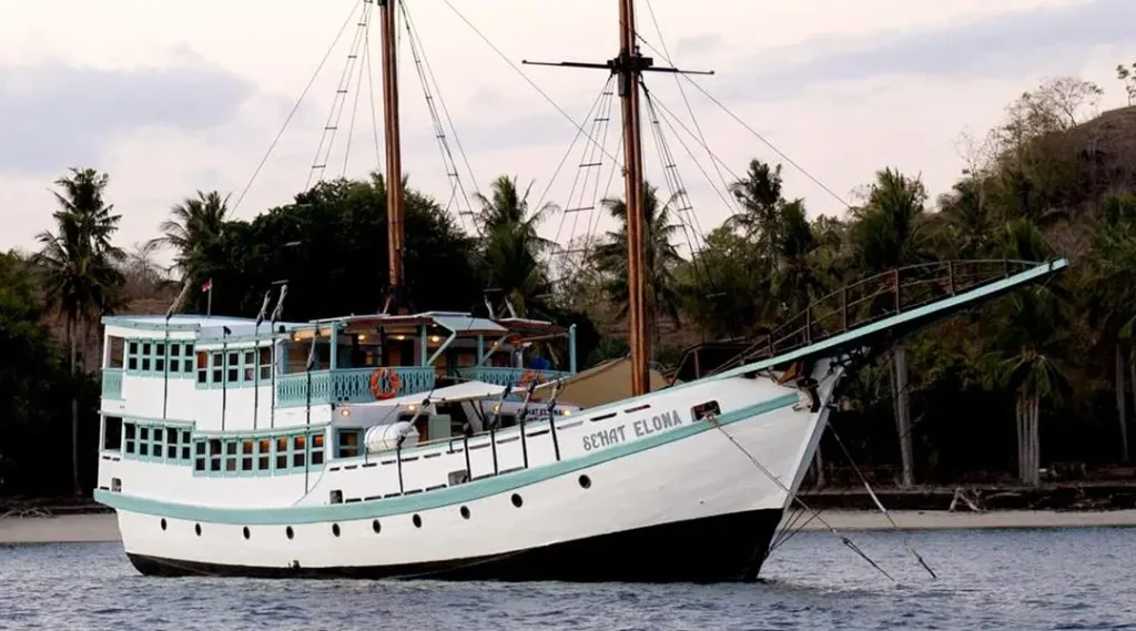 komodo island tour, komodo tour​, komodo boat tour​, komodo island boat tour​, Bali to Komodo island