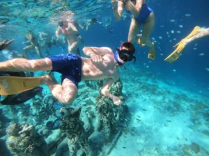snorkeling gili trawangan official 51 gili trawangan tour & travel Private Snorkeling Gili Trawangan