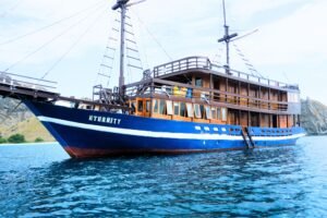 komodo island tour, komodo tour​, komodo boat tour​, komodo island boat tour​, Bali to Komodo island