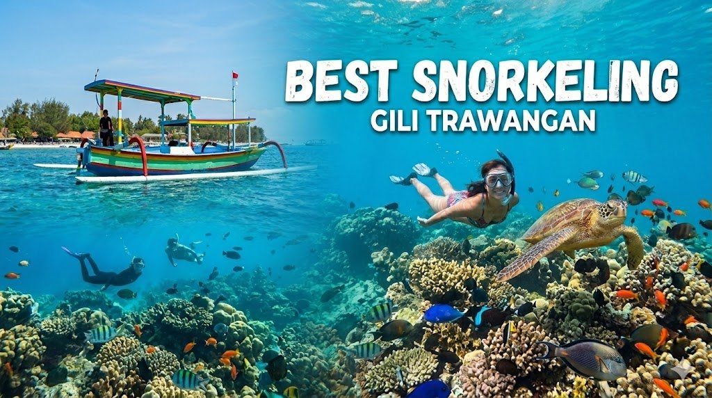 Best Snorkeling Gili Trawangan