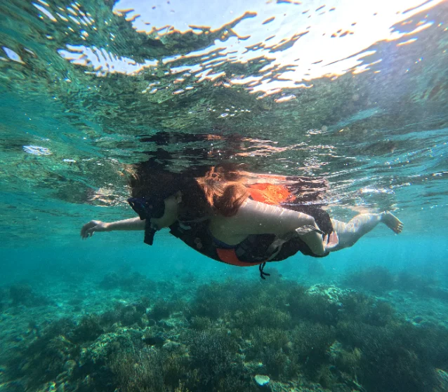 snorkeling dokumentasi 5 gili trawangan tour & travel Manjarite Snorkeling