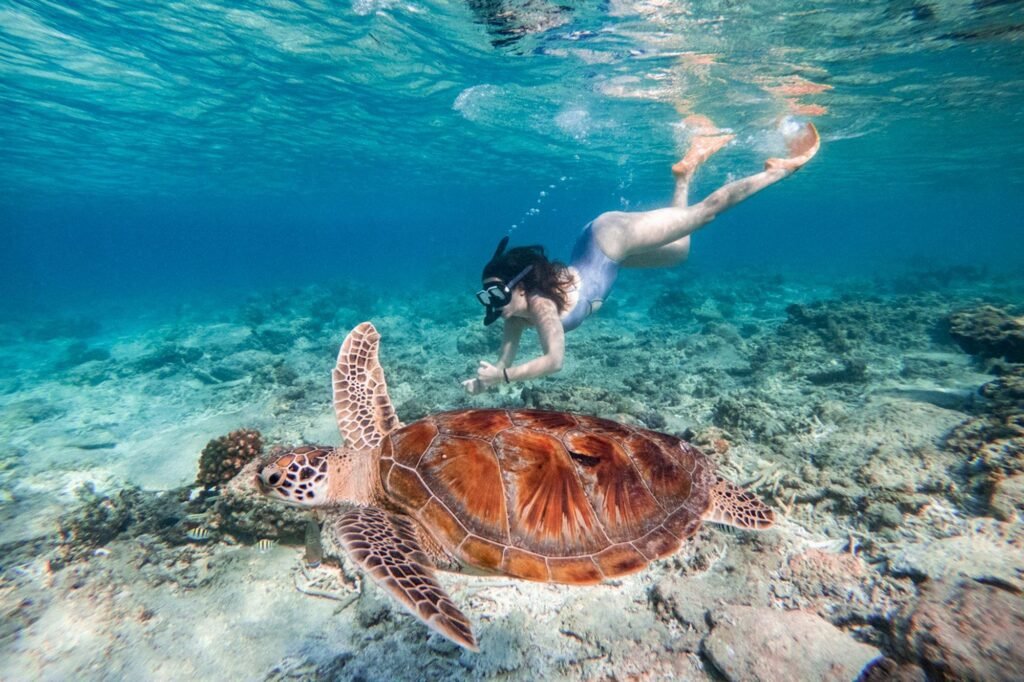 Gili Snorkeling Tour: The Ultimate Guide to Exploring the Best Snorkeling Spots in the Gili Islands