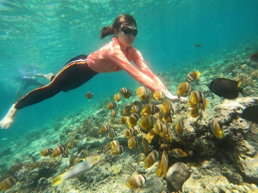 Gili Snorkeling Tour