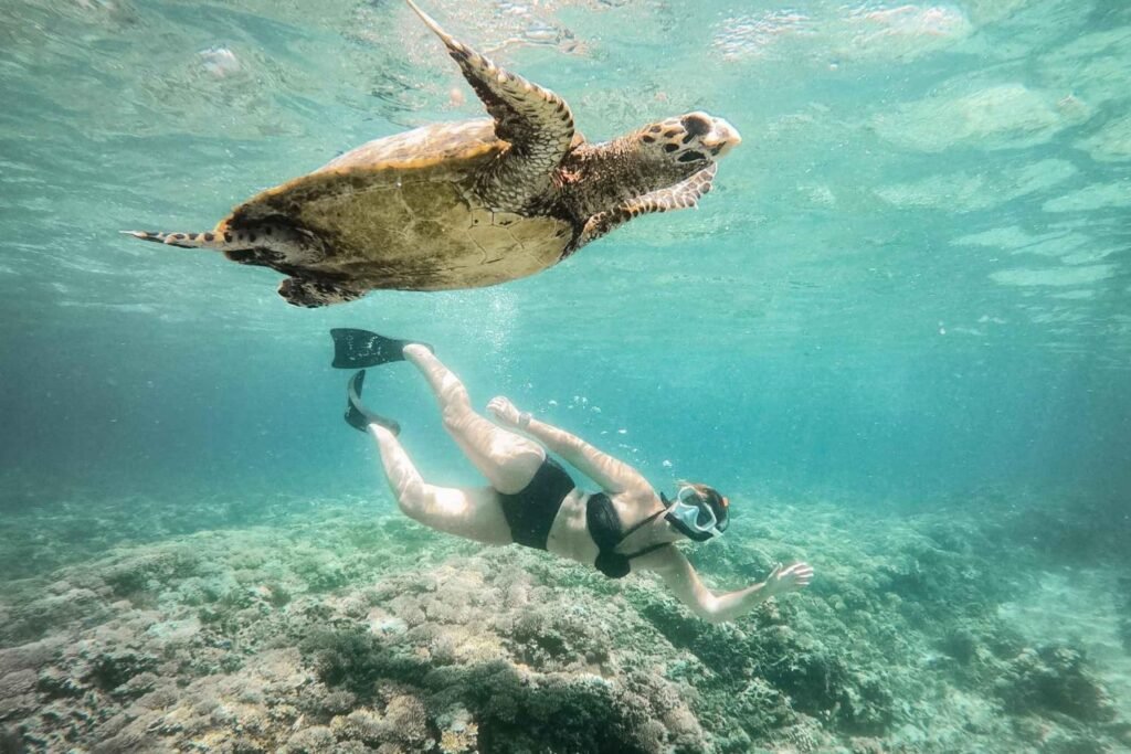 Gili Snorkeling Tour