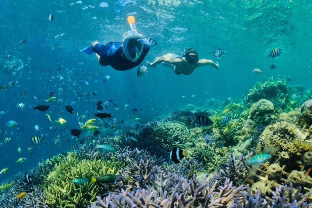 Snorkeling Trips