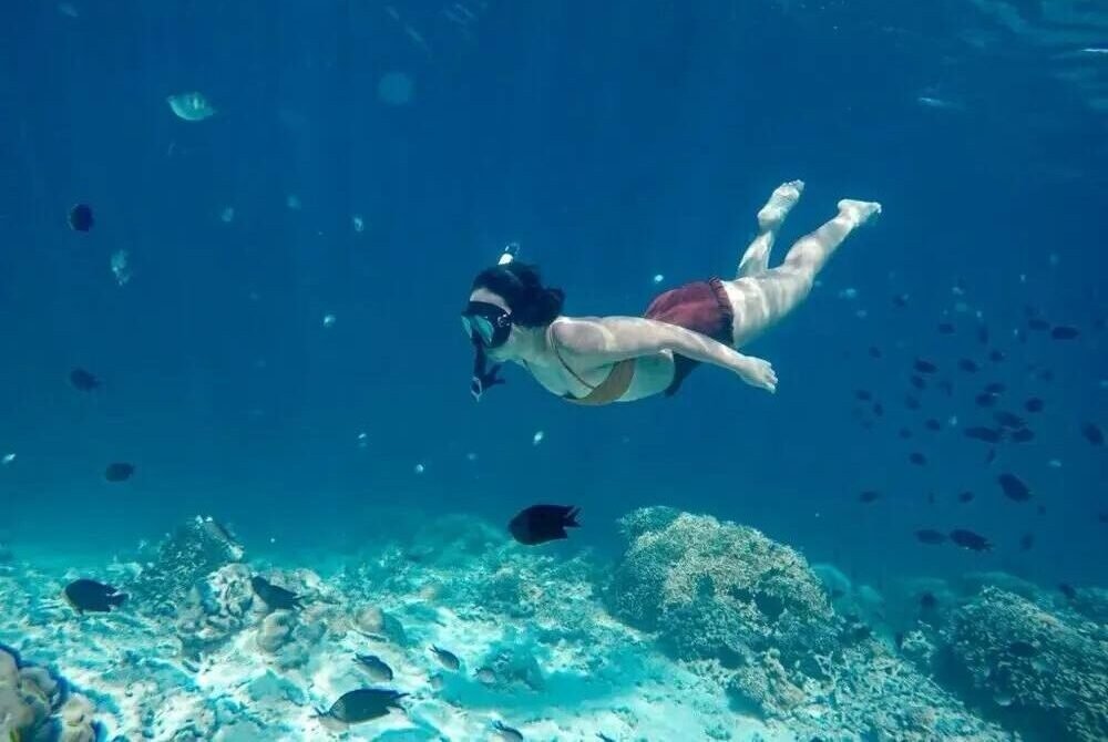 Snorkeling Trips
