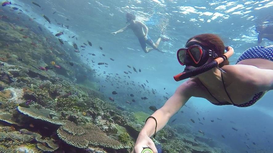Snorkeling Trips