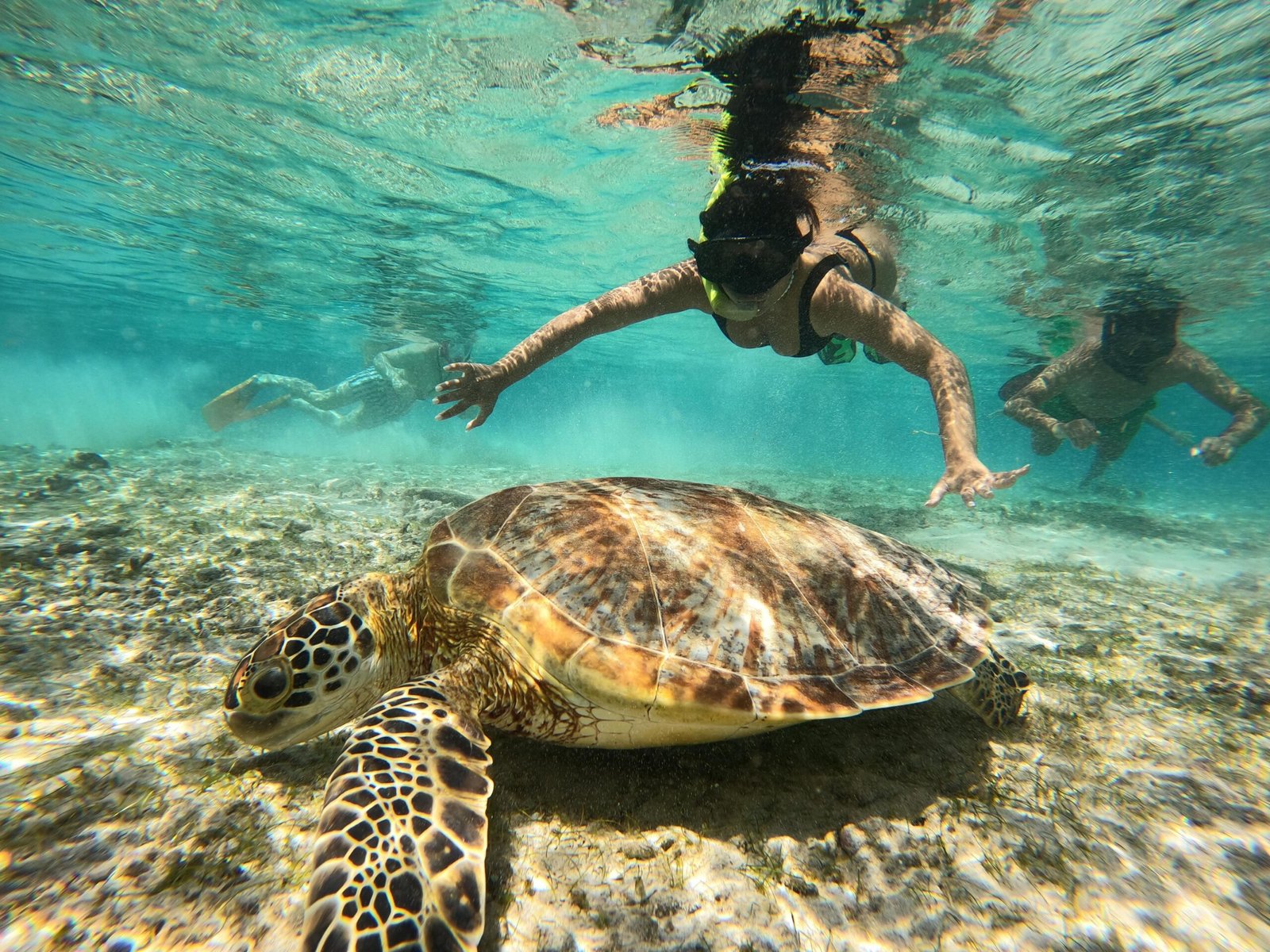 Snorkeling Trips