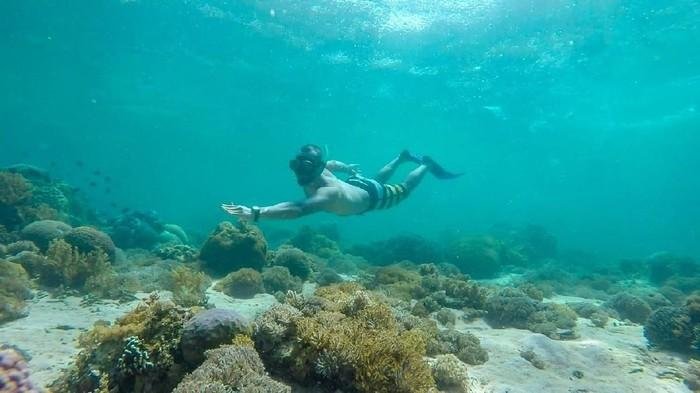 Snorkeling Trips