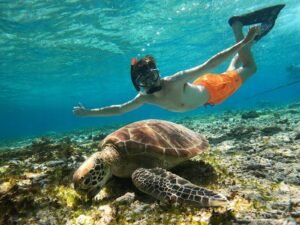 Gili Trawangan Snorkeling Tour