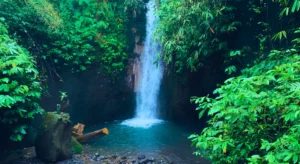 Jeruk Manis Tourism Village