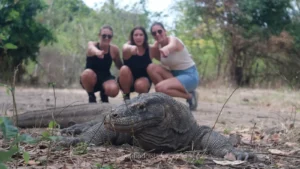 Komodo Dragon Facts Most Guides Skip: Size, Venom, and Why Locals Call It "Brother"