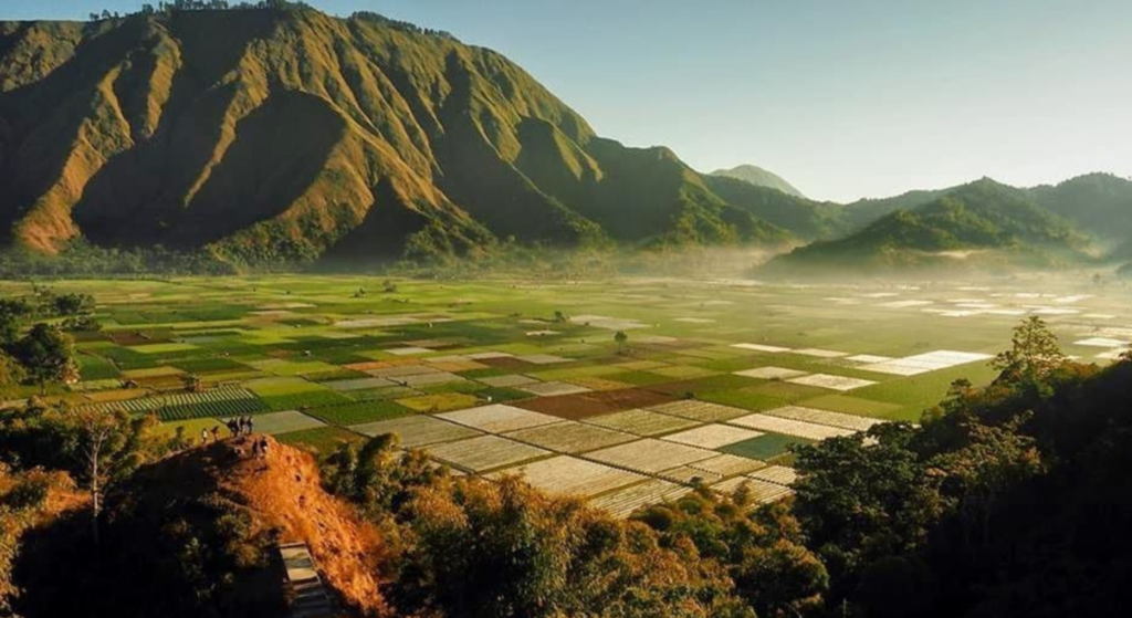 Liburan Rombongan ke Lombok