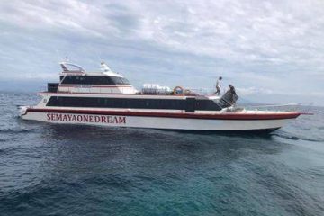 semaya one fast boat Semaya One Fast Boat