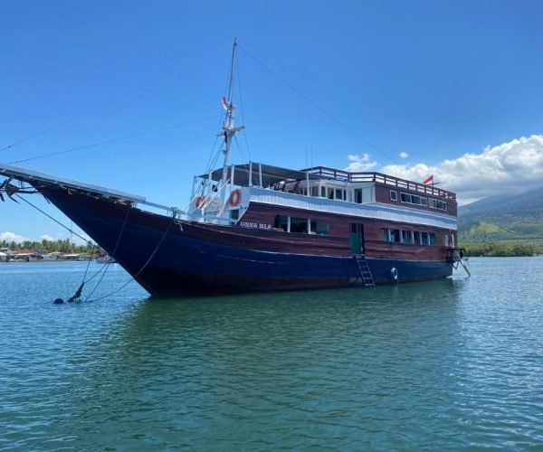 komodo island tour, komodo tour​, komodo boat tour​, komodo island boat tour​, Komodo Trip, Komodo Trip From Lombok