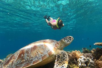 Snorkeling Gili Trawangan