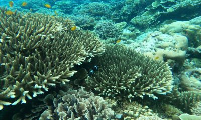 wisata baharu tur nipah-malimbu wisata baharu tur nipah-malimbu