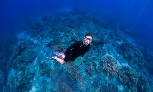 Gili Nanggu Lombok Trip, Snorkeling Trip