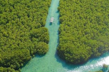 gili-petagan TUR GILI KONDO