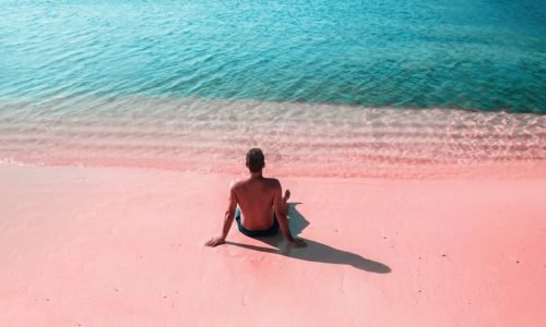 Pink Beach Lombok Trip, Snorkeling Trip