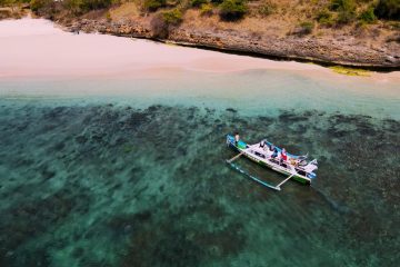 One day Tour Pink Beach