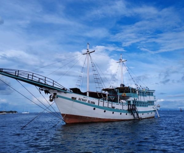 tour de l'île de komodo, komodo tour, komodo, excursion en bateau, l'île de komodo, excursion en bateau