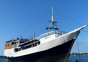 golden island cruises