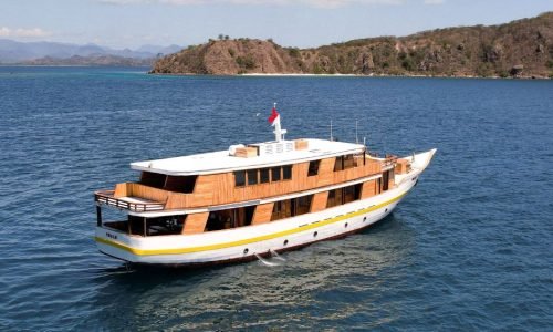 la isla de komodo, tour, tour de komodo, de komodo, excursión en barco, la isla de komodo, excursión en barco