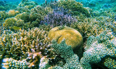 wisata baharu tur nipah-malimbu wisata baharu tur nipah-malimbu