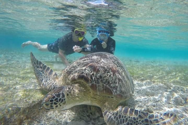 tur gili gede, Best Snorkeling