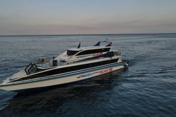 free bird fast boat free bird fast boat