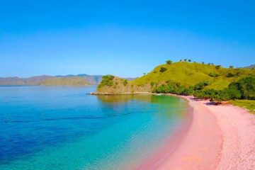 pink beach tour